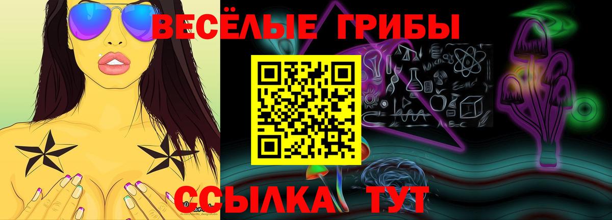 Дубна  Псилоцибиновые грибы ЛСД  Вход с VPN 